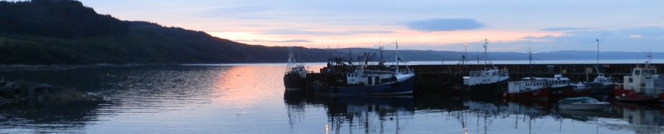Carradale Harbour on Kintyre